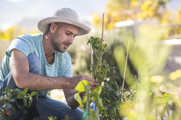 les nouvelles tendances en matière de textiles et tissus d'ameublement