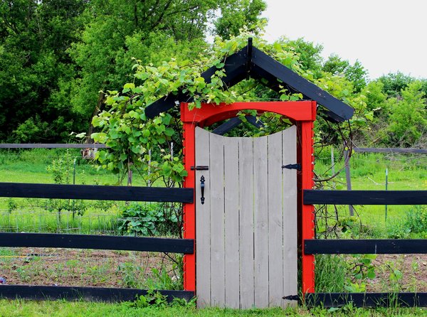 Portillon châtaignier esthétique à 89,90€ durable et pratique