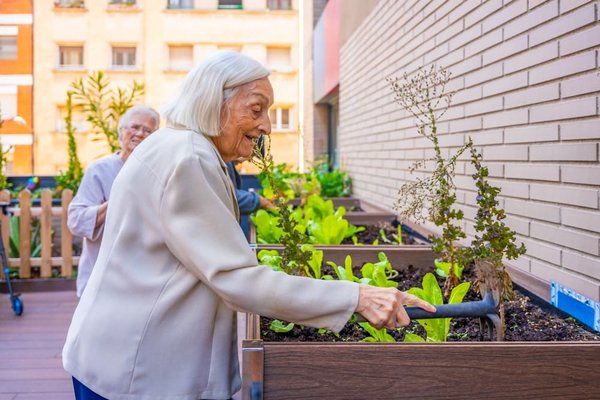Les potagers urbains à Genève : Avantages, impact sur l’environnement et popularité croissante